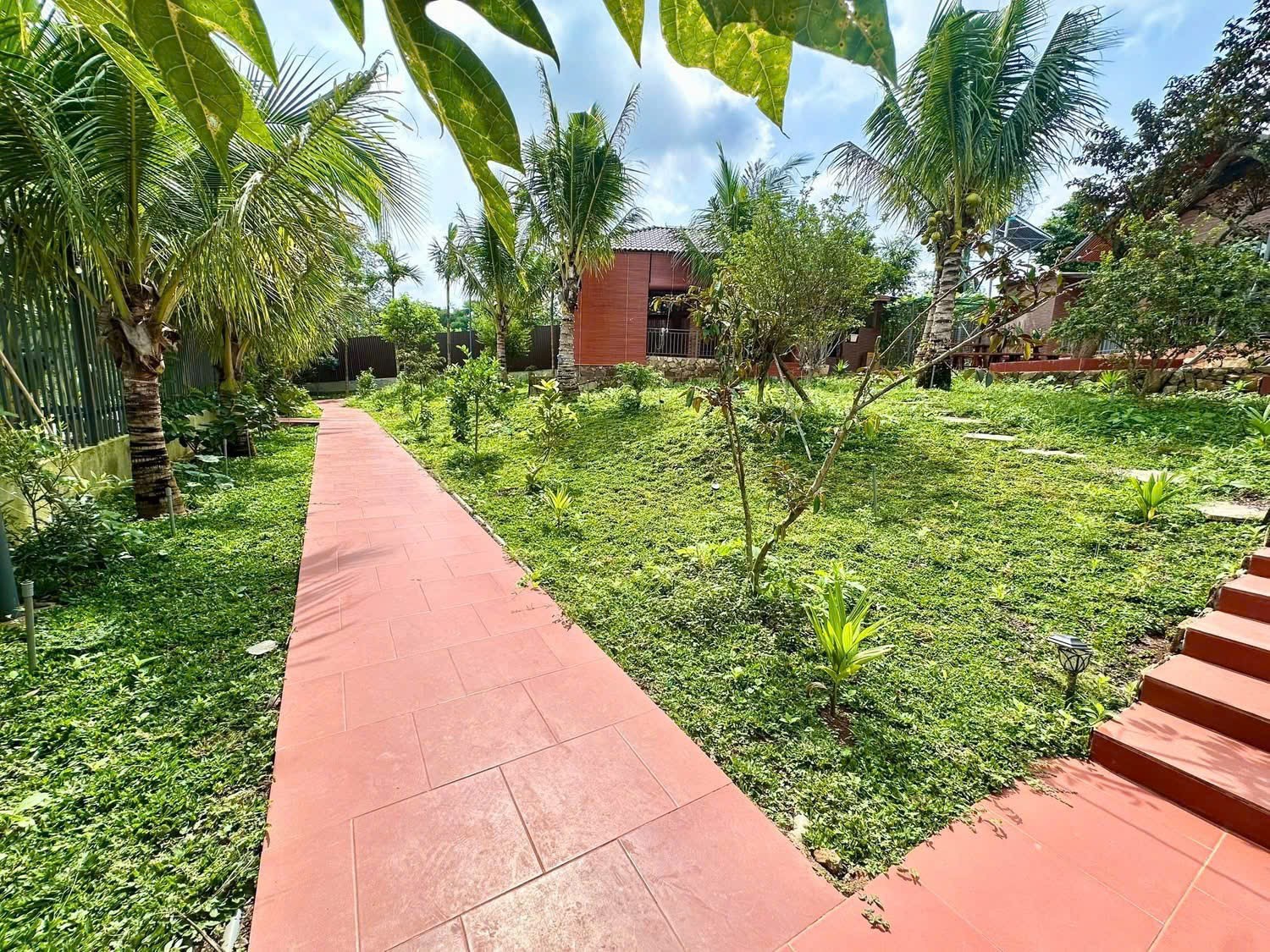 NHÀ VƯỜN VIEW HỒ – FULL THỔ CƯ 4000m² – KM12 HOÀ ĐÔNG, KRÔNG PĂK Diện tích: 4000m² 20