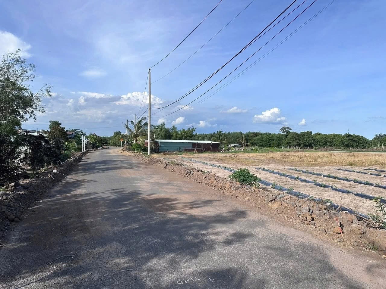 Cần bán Đất Đất Đỏ, Bà Rịa Vũng Tàu, Diện tích 12363m², Giá Thương lượng