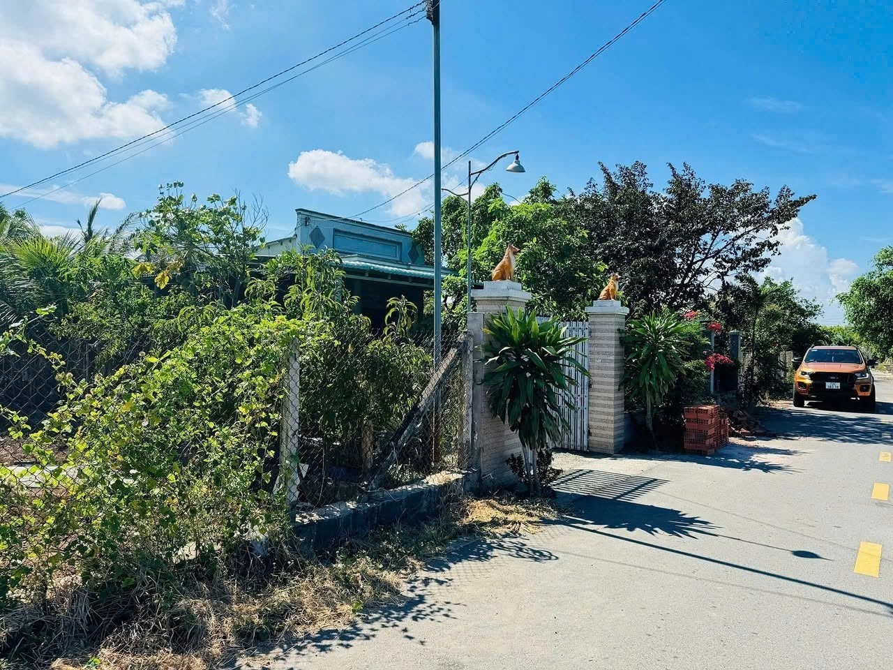 Cần bán Đất Đất Đỏ, Bà Rịa Vũng Tàu, Diện tích 968m², Giá Thương lượng 2