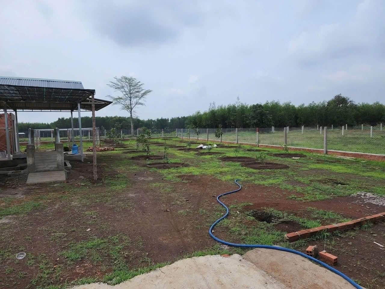 Cần bán Đất Đất Đỏ, Bà Rịa Vũng Tàu, Diện tích 1000m², Giá 1.200.000 Triệu/m² 2