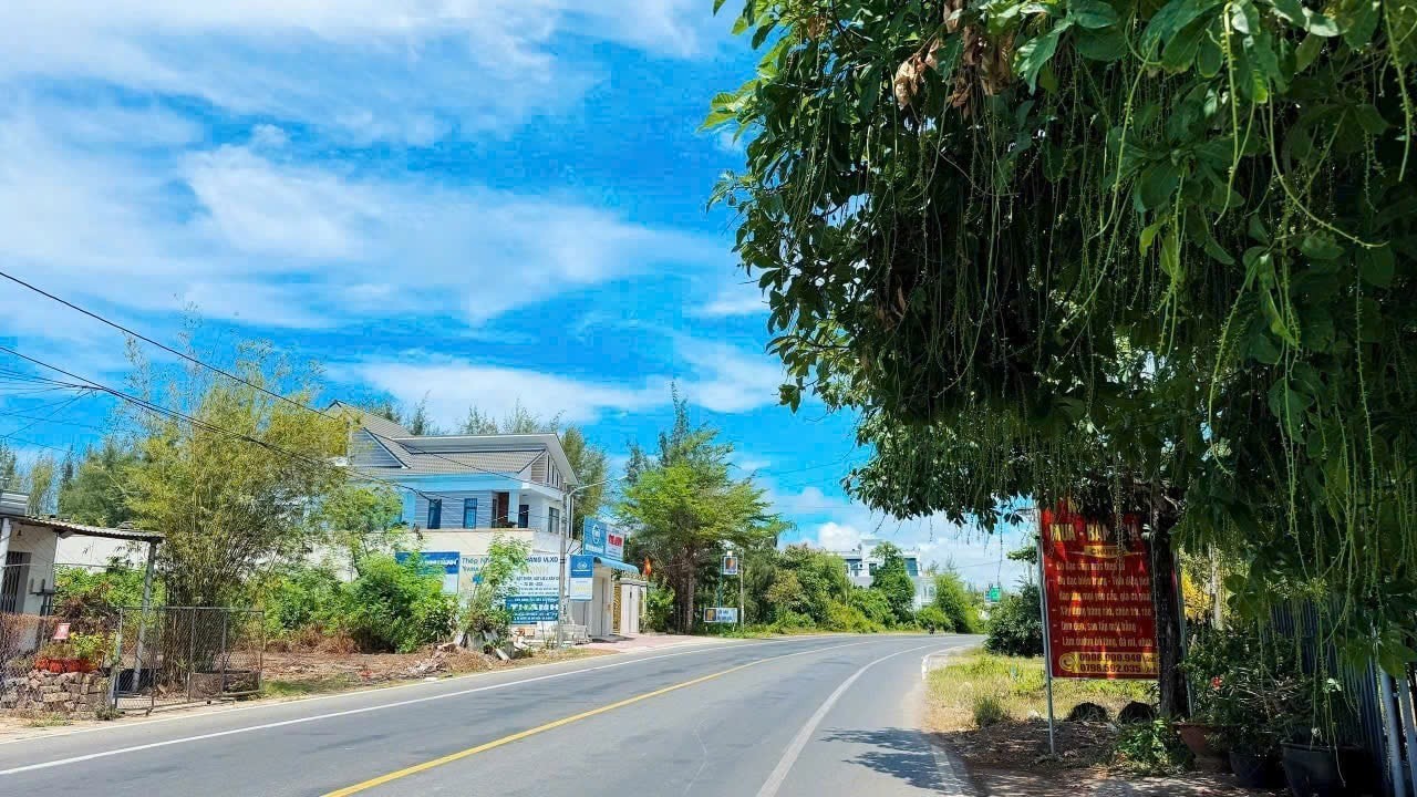 Cần bán Đất Đất Đỏ, Bà Rịa Vũng Tàu, Diện tích 288m², Giá 9.500.000 Triệu/m² 5