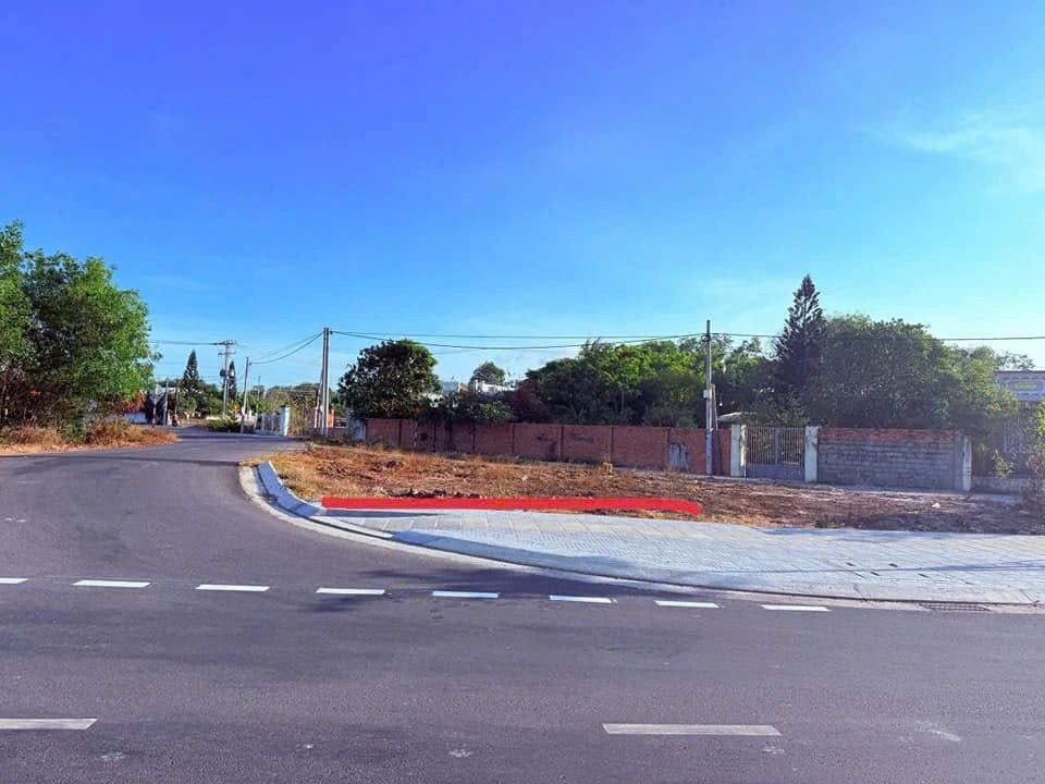 Cần bán Đất Đất Đỏ, Bà Rịa Vũng Tàu, Diện tích 233m², Giá 6.500.000 Triệu/m² 4