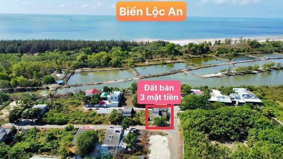 Cần bán Đất Đất Đỏ, Bà Rịa Vũng Tàu, Diện tích 341m², Giá 5.000.000 Triệu/m² 3
