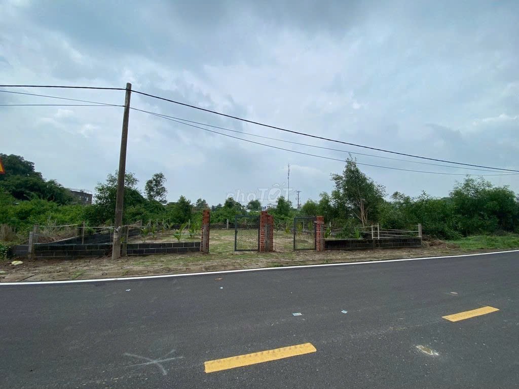 Cần bán Đất Đất Đỏ, Bà Rịa Vũng Tàu, Diện tích 400m², Giá 5.000.000 Triệu/m² 2