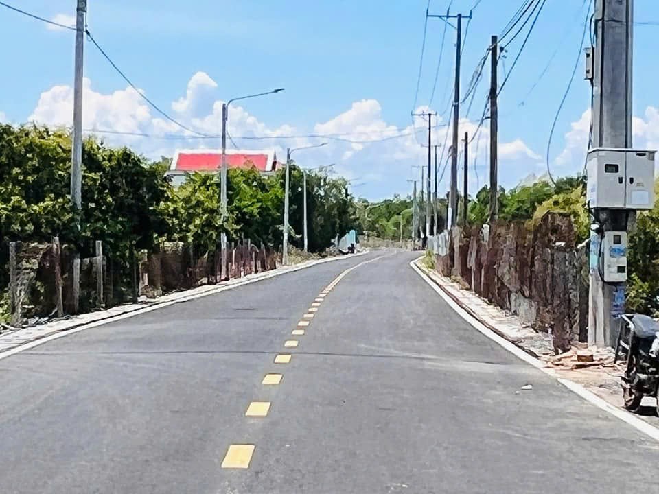 Cần bán Đất Đất Đỏ, Bà Rịa Vũng Tàu, Diện tích 268m², Giá 6.000.000 Triệu/m² 3