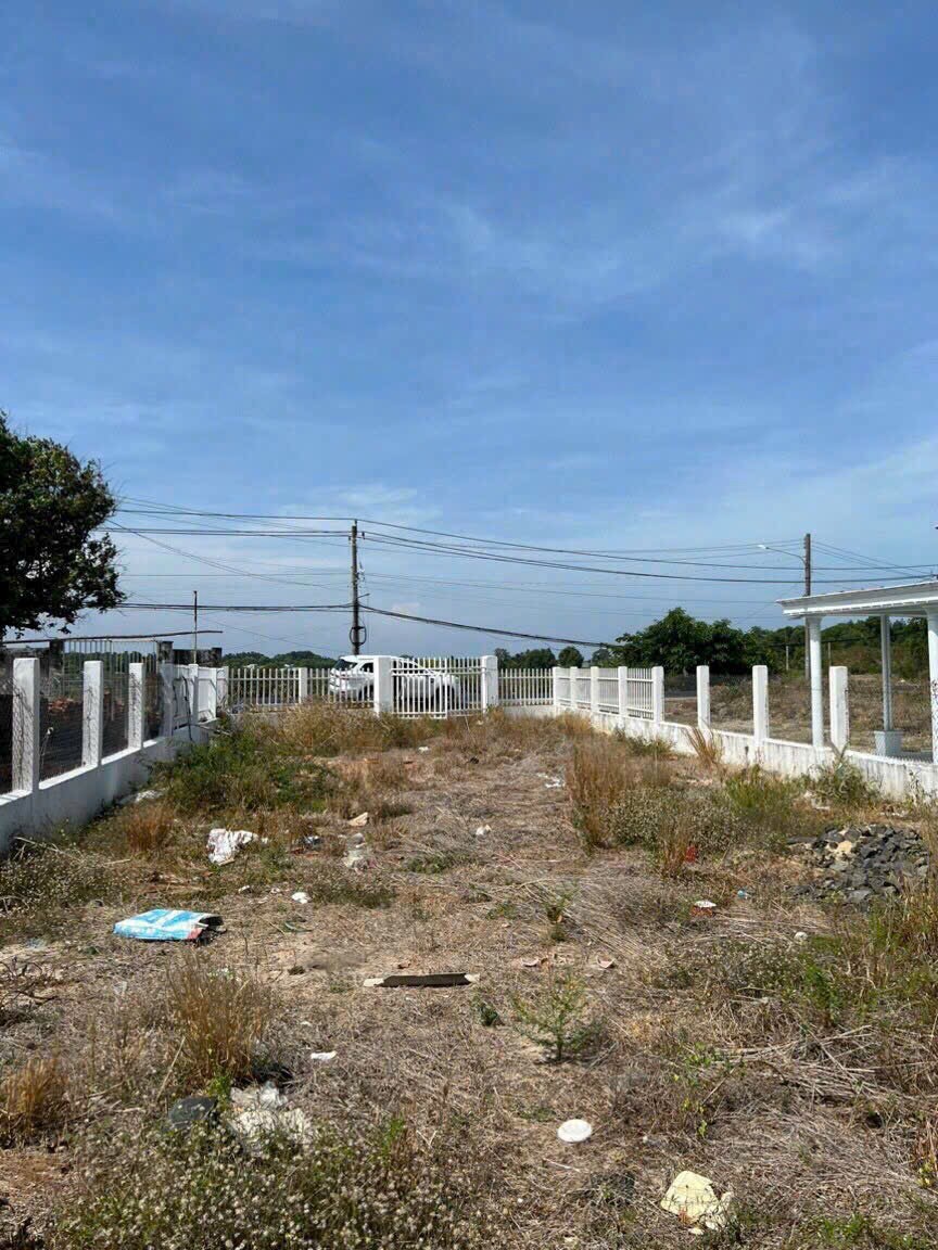 Cần bán Đất Đất Đỏ, Bà Rịa Vũng Tàu, Diện tích 740m², Giá Thương lượng 3