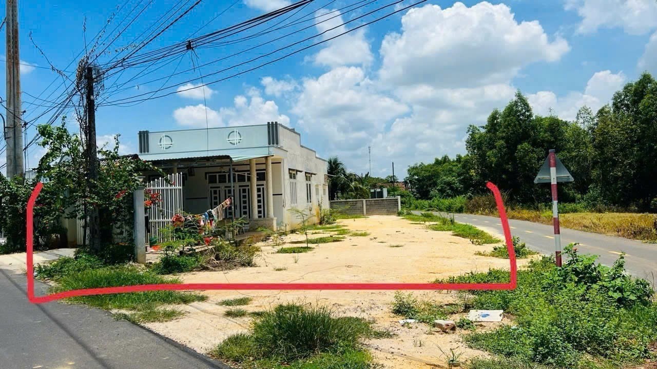 Cần bán Đất Đất Đỏ, Bà Rịa Vũng Tàu, Diện tích 292m², Giá Thương lượng