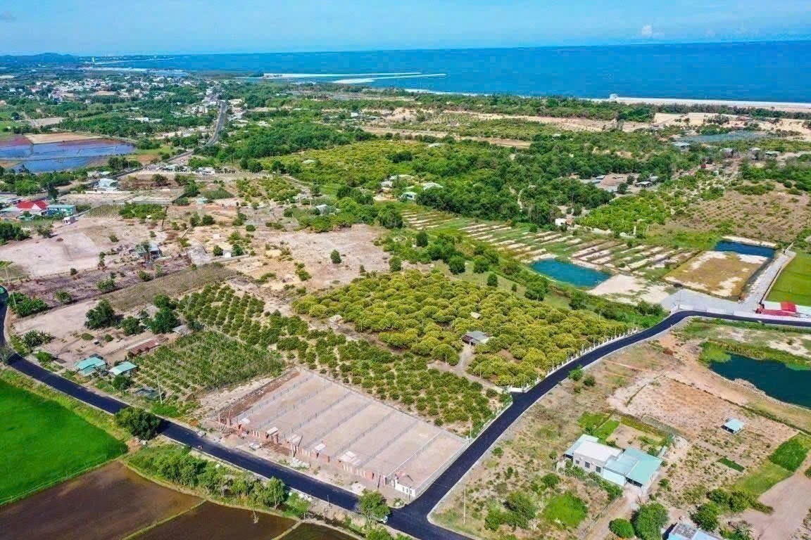 Cần bán Đất Đất Đỏ, Bà Rịa Vũng Tàu, Diện tích 190m², Giá 8.000.000 Triệu/m² 3
