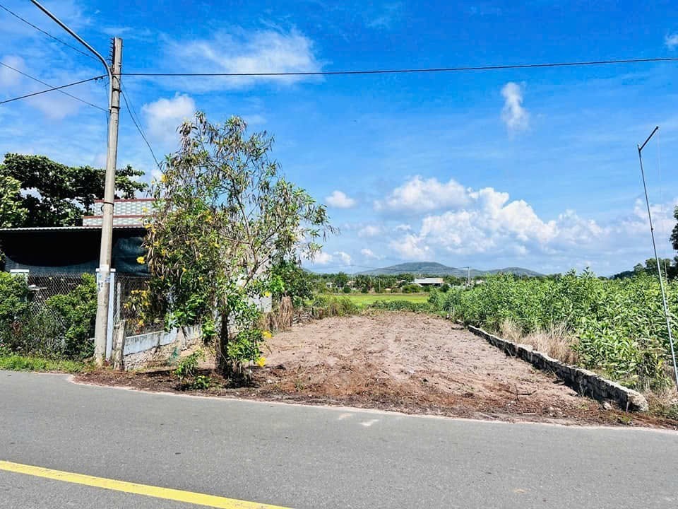 Cần bán Đất Đất Đỏ, Bà Rịa Vũng Tàu, Diện tích 645m², Giá 3.000.000 Triệu/m² 4