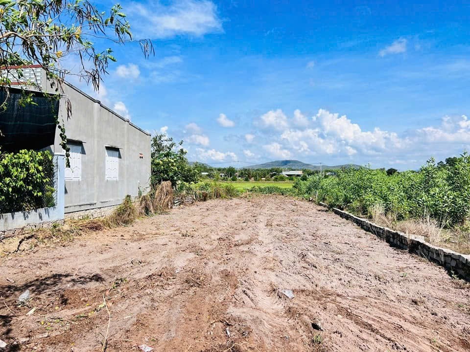 Cần bán Đất Đất Đỏ, Bà Rịa Vũng Tàu, Diện tích 645m², Giá 3.000.000 Triệu/m²