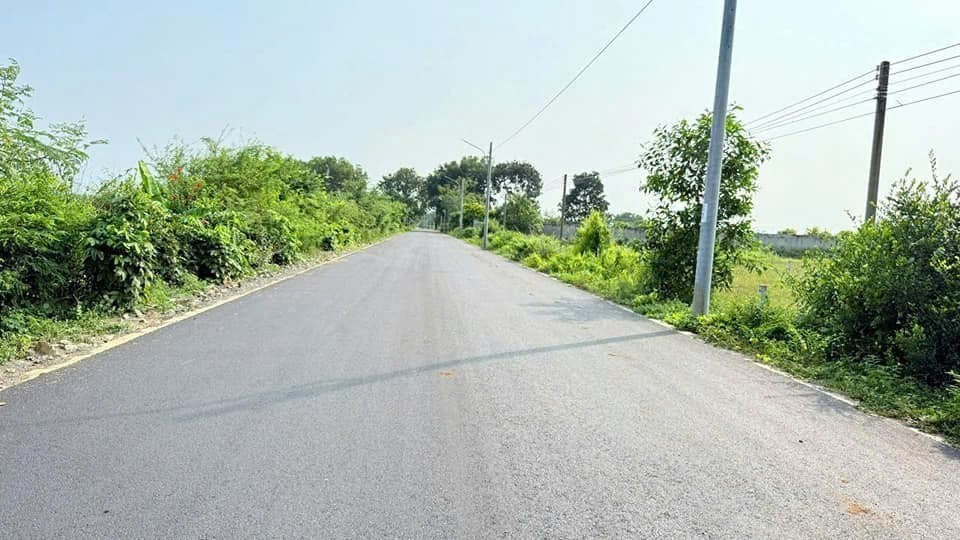 Cần bán Đất Đất Đỏ, Bà Rịa Vũng Tàu, Diện tích 500m², Giá 3.000.000 Triệu/m² 4