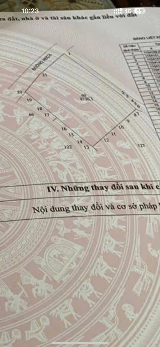 Cần bán Đất Đất Đỏ, Bà Rịa Vũng Tàu, Diện tích 4700m², Giá Thương lượng