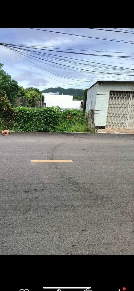 Cần bán Đất Đất Đỏ, Bà Rịa Vũng Tàu, Diện tích 4700m², Giá Thương lượng 3