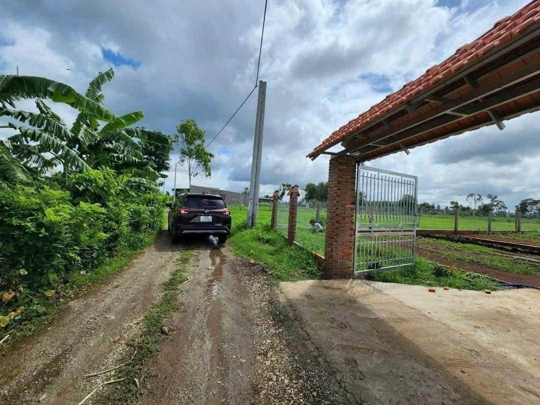 Cần bán Đất Đất Đỏ, Bà Rịa Vũng Tàu, Diện tích 1000m², Giá 1.200.000 Triệu/m² 4