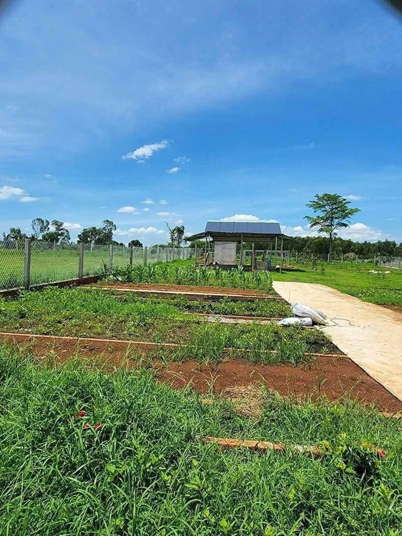 Cần bán Đất Đất Đỏ, Bà Rịa Vũng Tàu, Diện tích 1000m², Giá 1.200.000 Triệu/m²