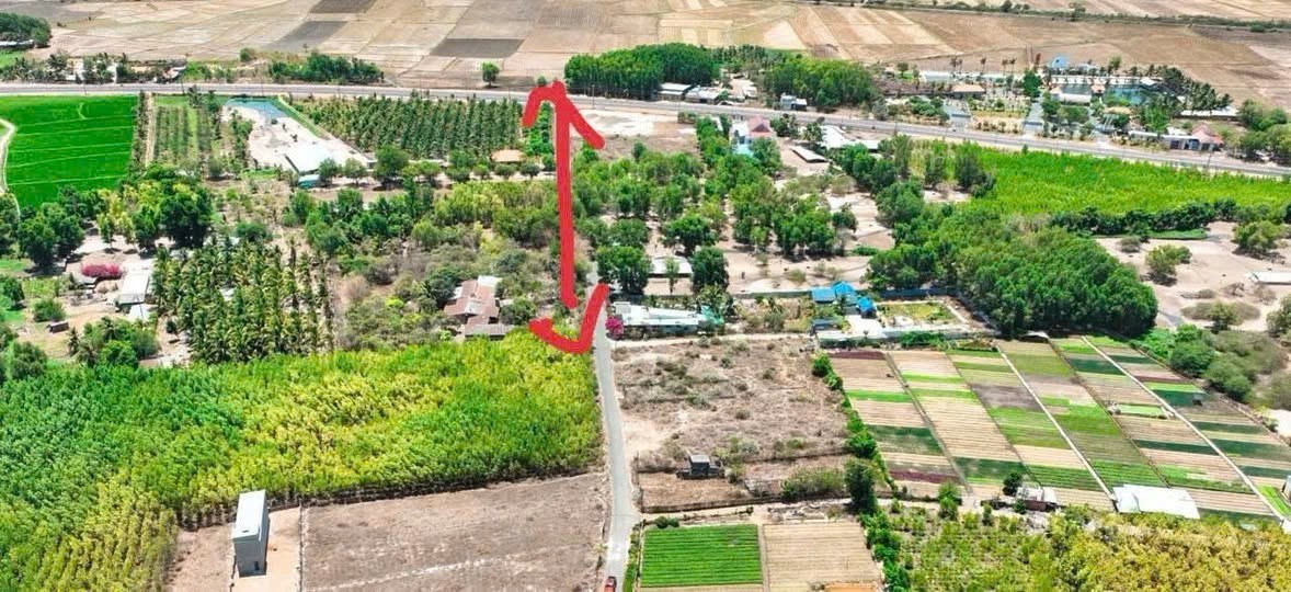 Cần bán Đất Đất Đỏ, Bà Rịa Vũng Tàu, Diện tích 3000m², Giá Thương lượng