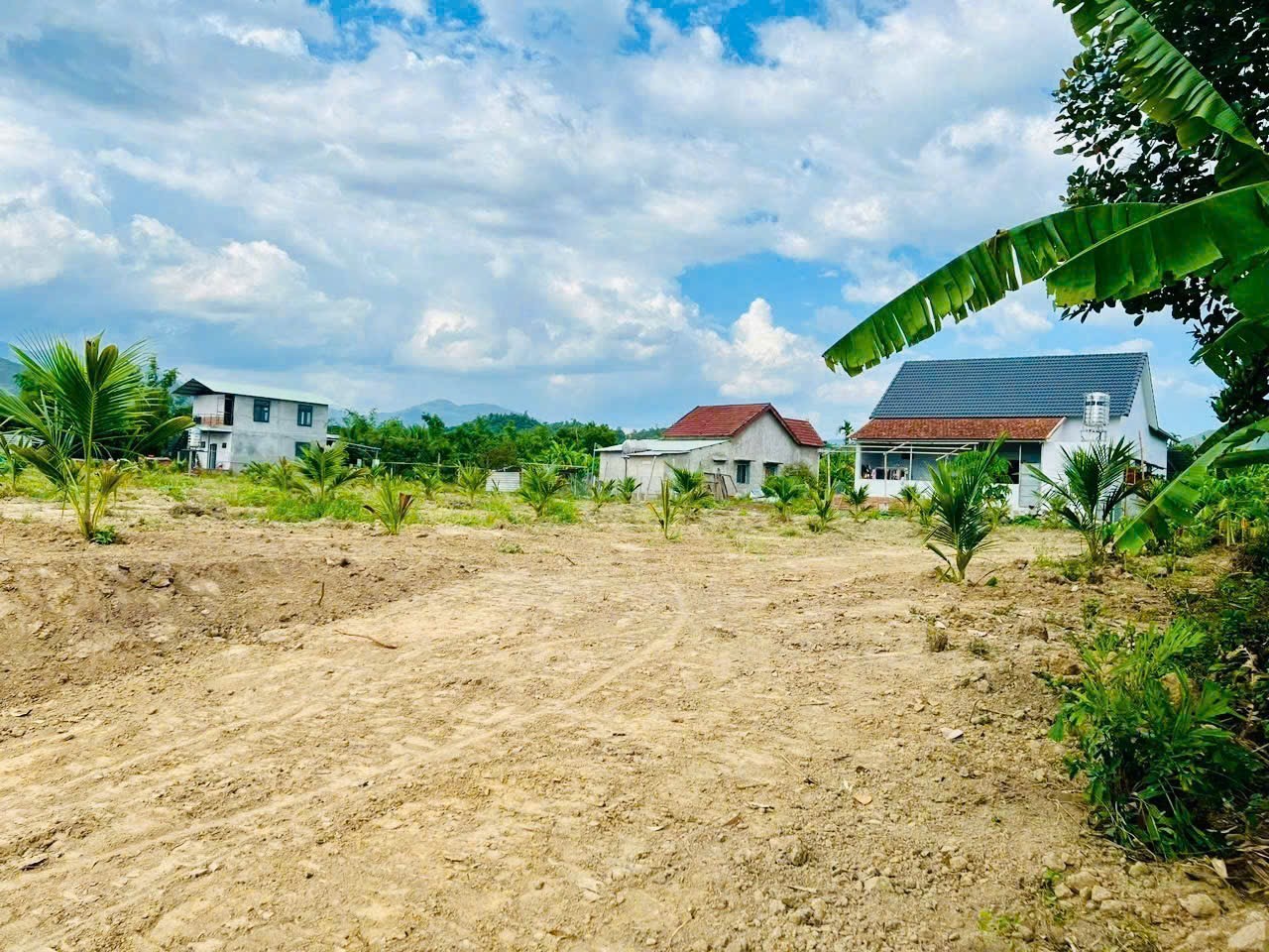 Bán đất Diên Phước mặt đường bê tông rộng 10m QH 23m gần sông Cái mát mẻ 4