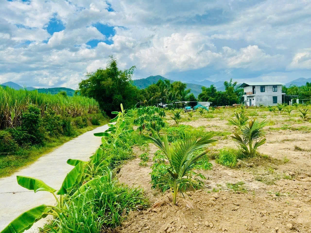 Bán đất Diên Phước mặt đường bê tông rộng 10m QH 23m gần sông Cái mát mẻ 5