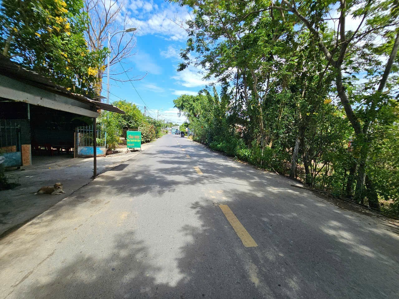 Bán đất mặt tiền Hương Lộ 45 - Diên Phú giá rẻ gần Cầu Voi