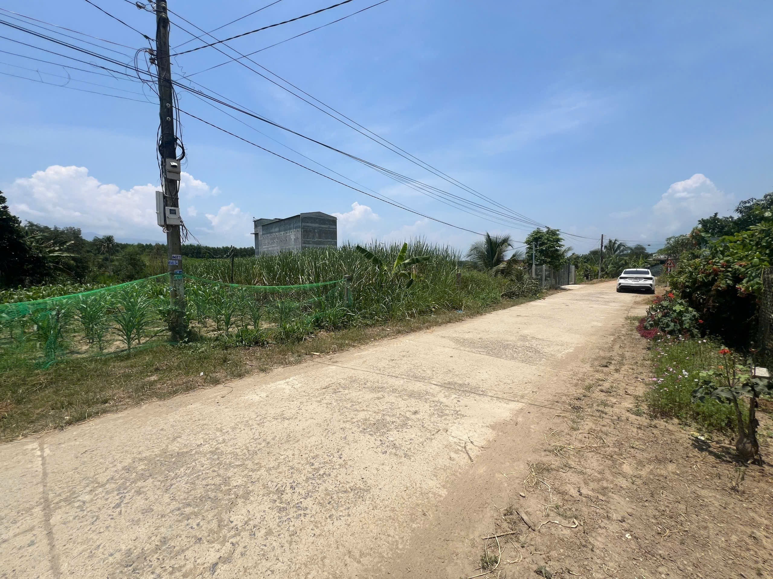 Bán đất Diên Lâm mặt đường bê tông liên thôn gần hồ Đá Mài 4