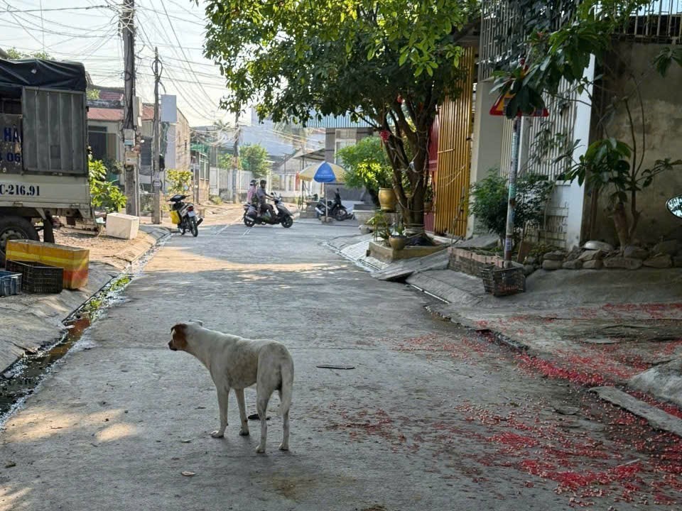 Bán đất thị trấn Diên Khánh full thổ cư giáp ranh khu tái định cư Bầu Gáo 3