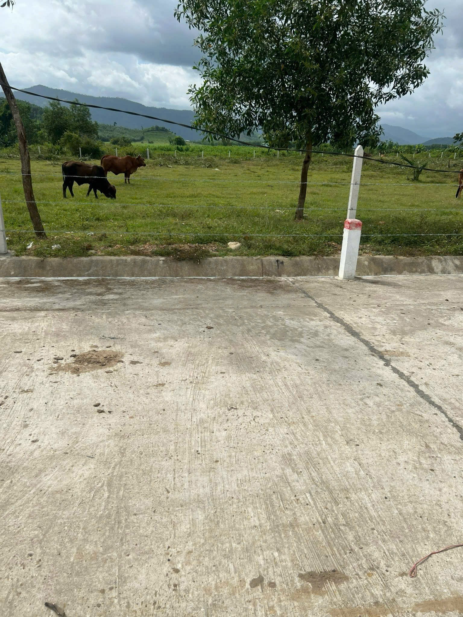 Bán đất vườn Khánh Hiệp giá rẻ QH full thổ cư sát bên suối khoáng nóng Nhân Tâm 7