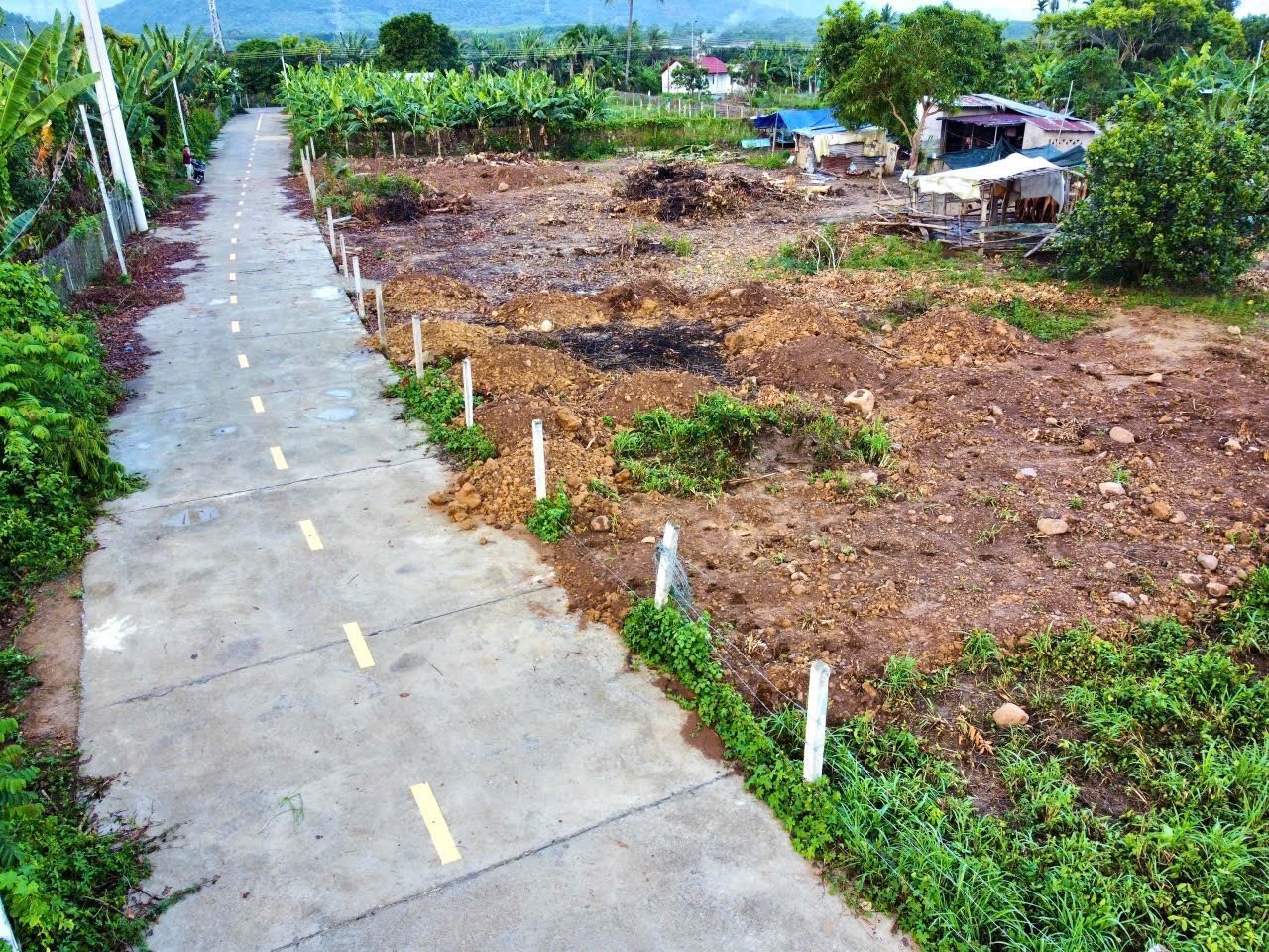 Bán đất Diên Lâm mặt đường bê tông rộng 8m ngay sát bên Hương Lộ 39 2