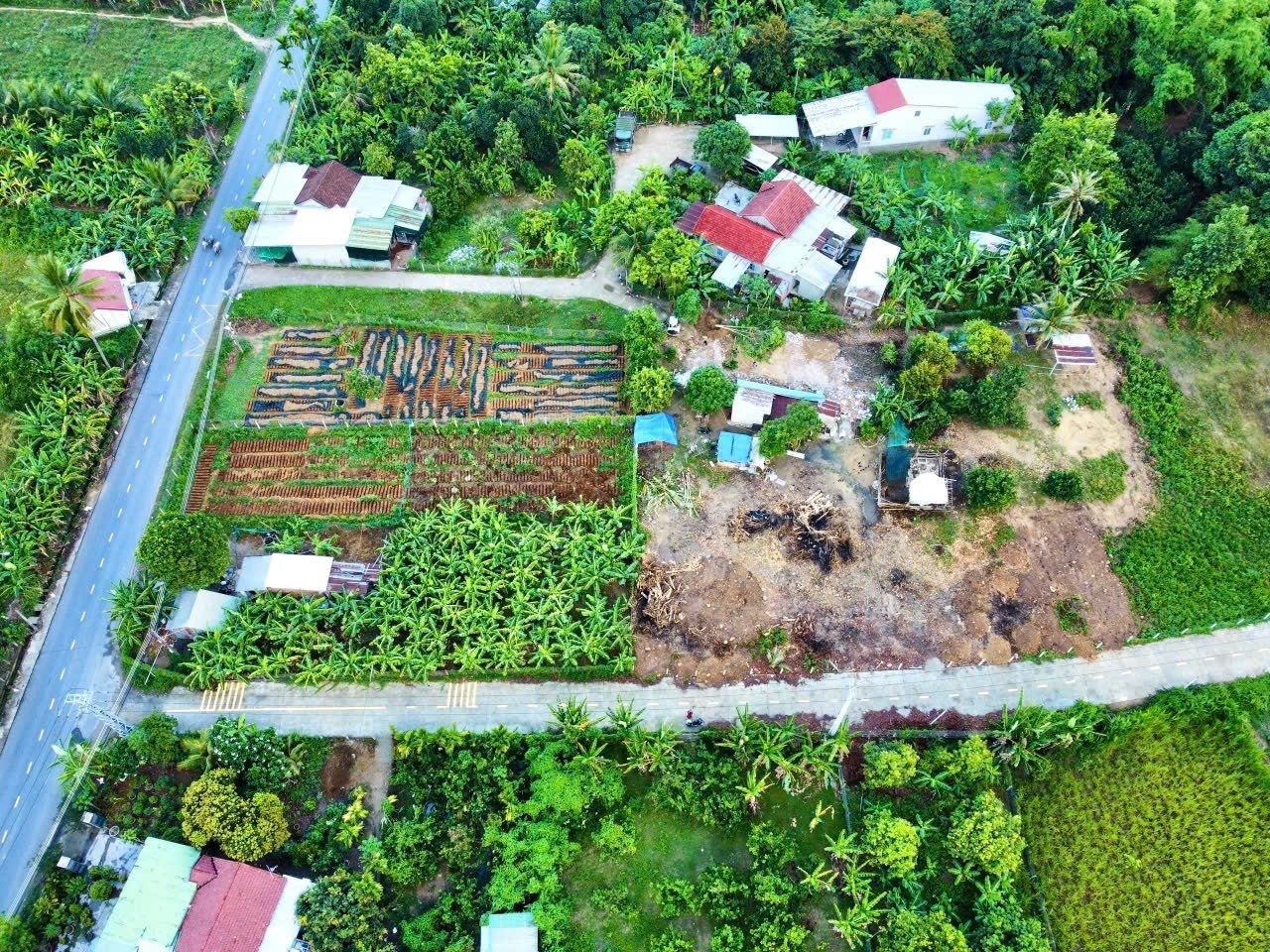Bán đất Diên Lâm mặt đường bê tông rộng 8m ngay sát bên Hương Lộ 39 3
