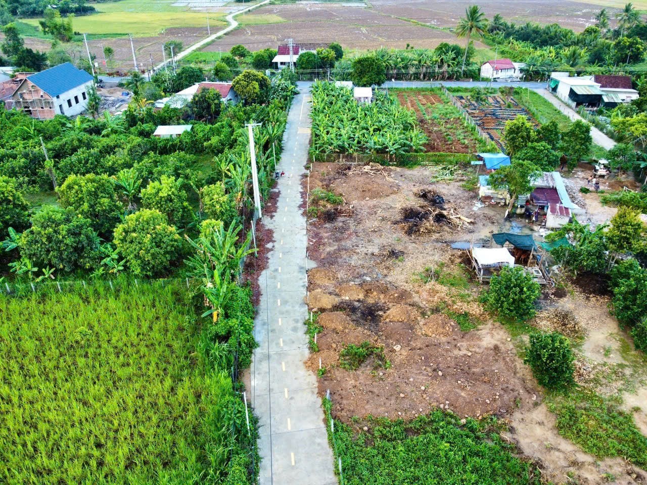 Bán đất Diên Lâm mặt đường bê tông rộng 8m ngay sát bên Hương Lộ 39 5