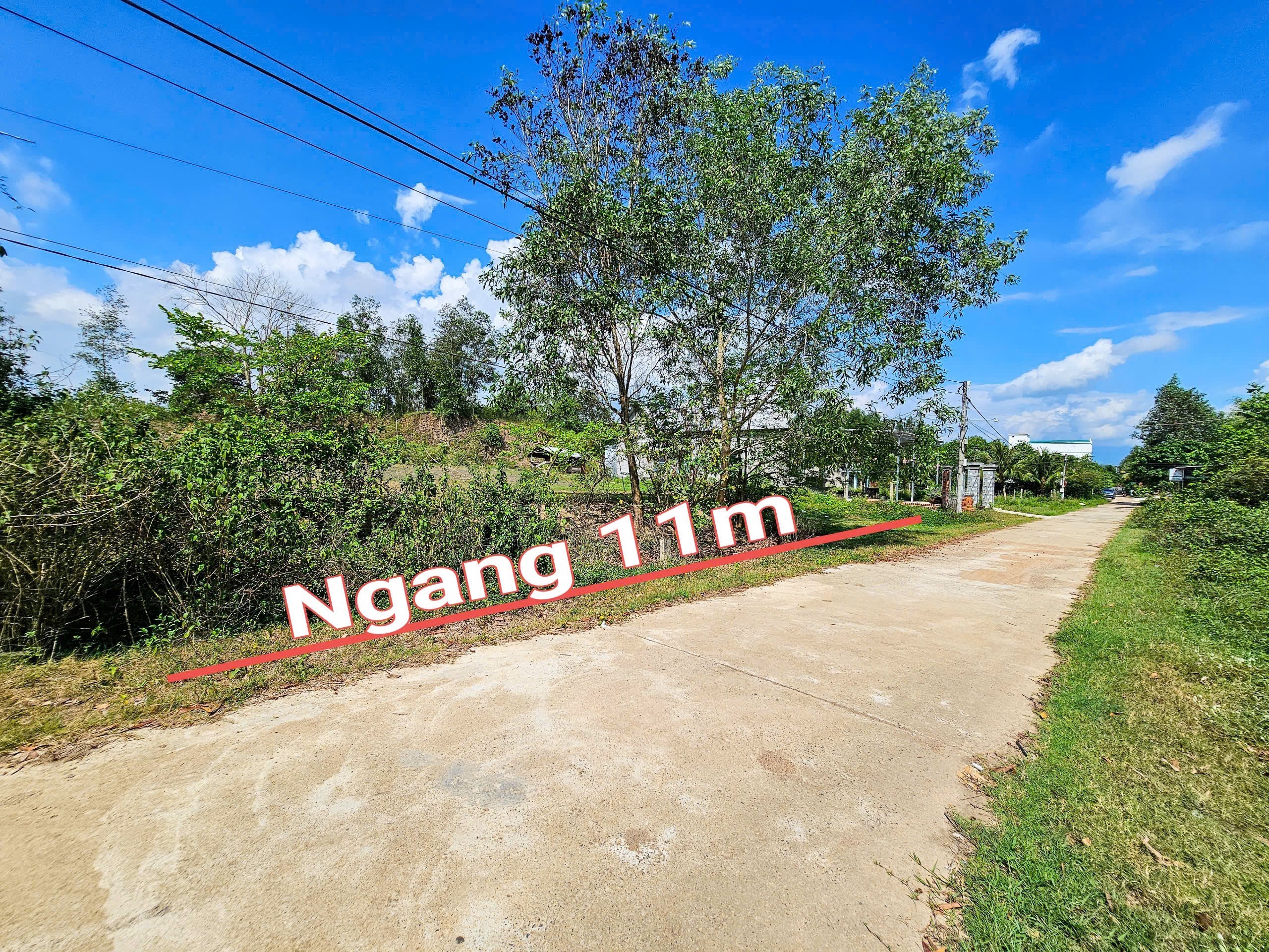 Bán đất Diên Xuân mặt đường bê tông liên thôn QH 16m gần Tỉnh Lộ 8 2