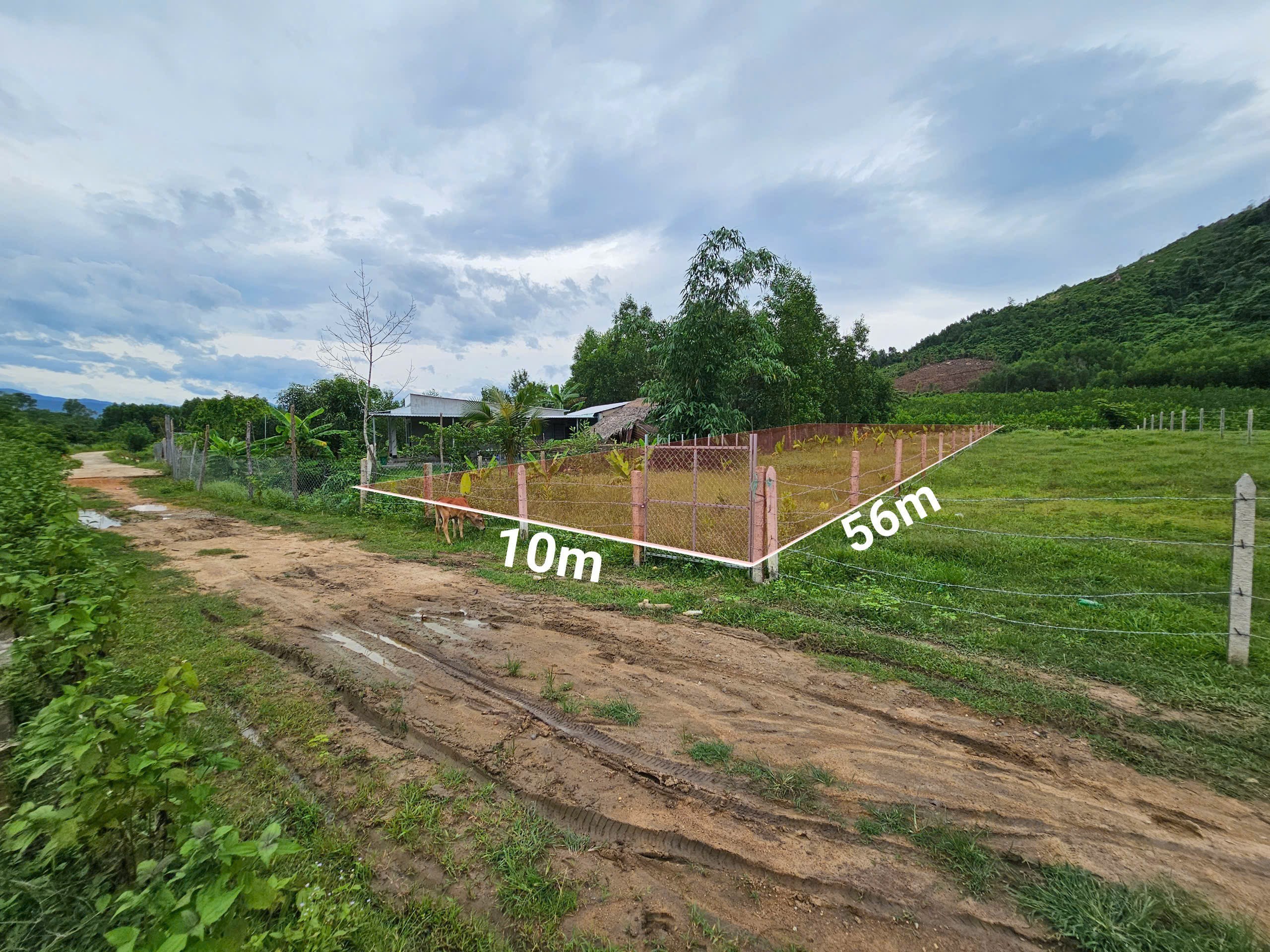 Bán đất Khánh Đông full thổ cư sau lưng giáp suối - đường thông