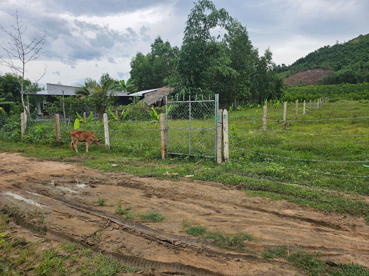 Bán đất Khánh Đông full thổ cư sau lưng giáp suối - đường thông 2