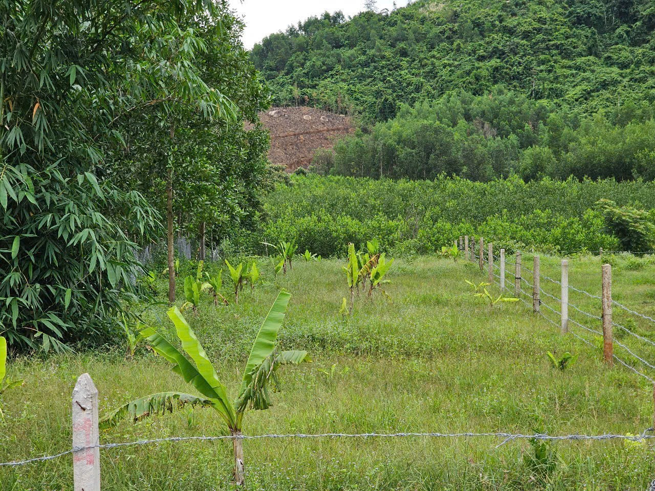 Bán đất Khánh Đông full thổ cư sau lưng giáp suối - đường thông 4