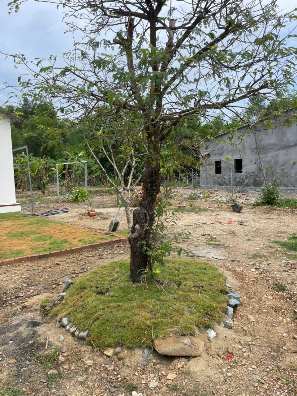 Bán căn nhà vườn Diên Đồng trong khu dân cư đông đúc - đường thông ngay sau lưng nhà văn hoá thôn 12