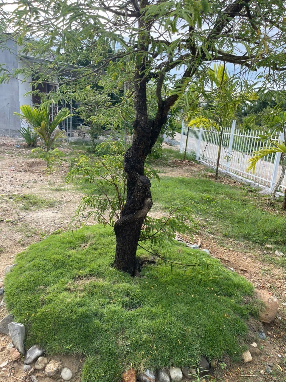 Bán căn nhà vườn Diên Đồng trong khu dân cư đông đúc - đường thông ngay sau lưng nhà văn hoá thôn 18