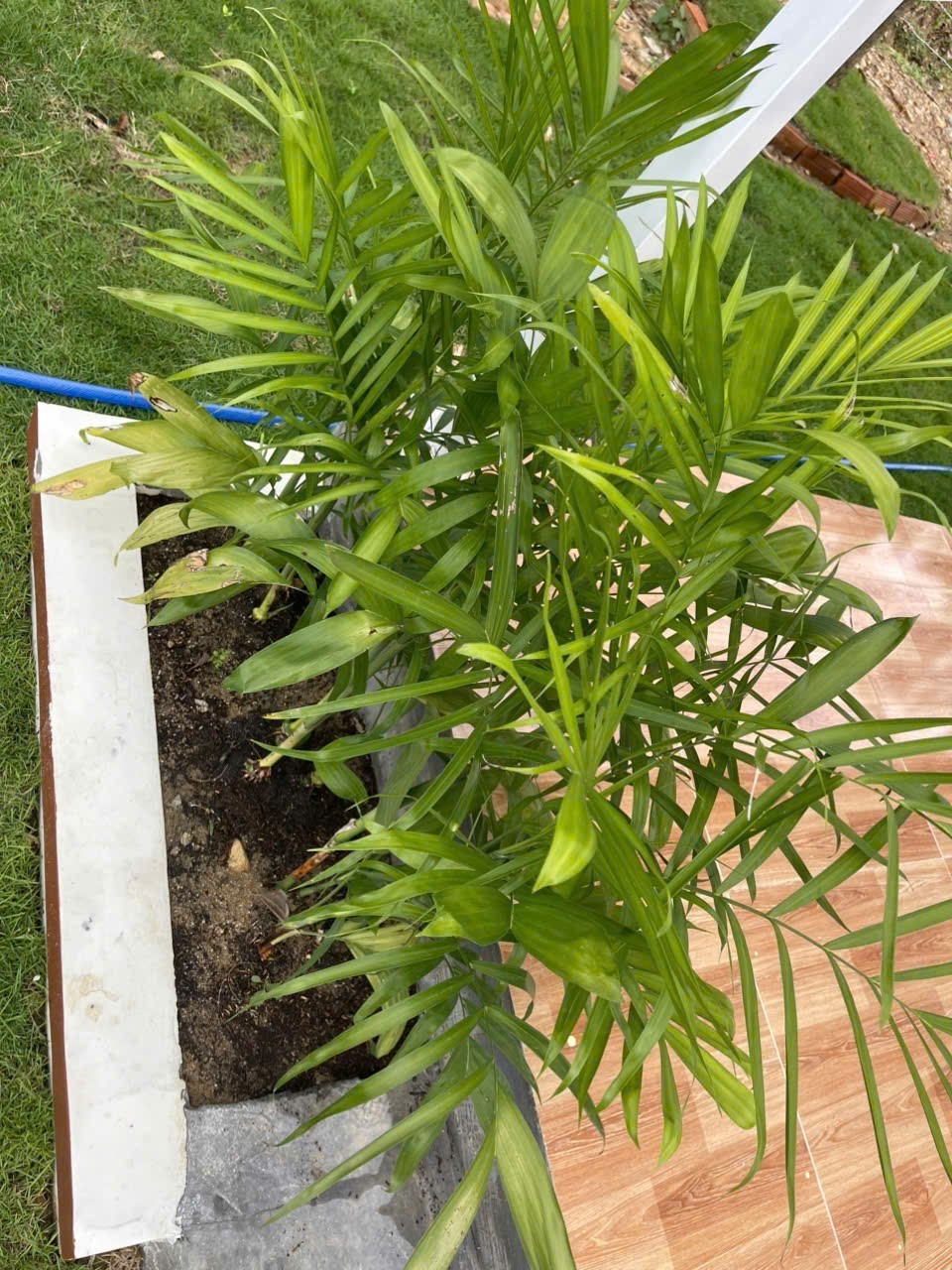 Bán căn nhà vườn Diên Đồng trong khu dân cư đông đúc - đường thông ngay sau lưng nhà văn hoá thôn 19