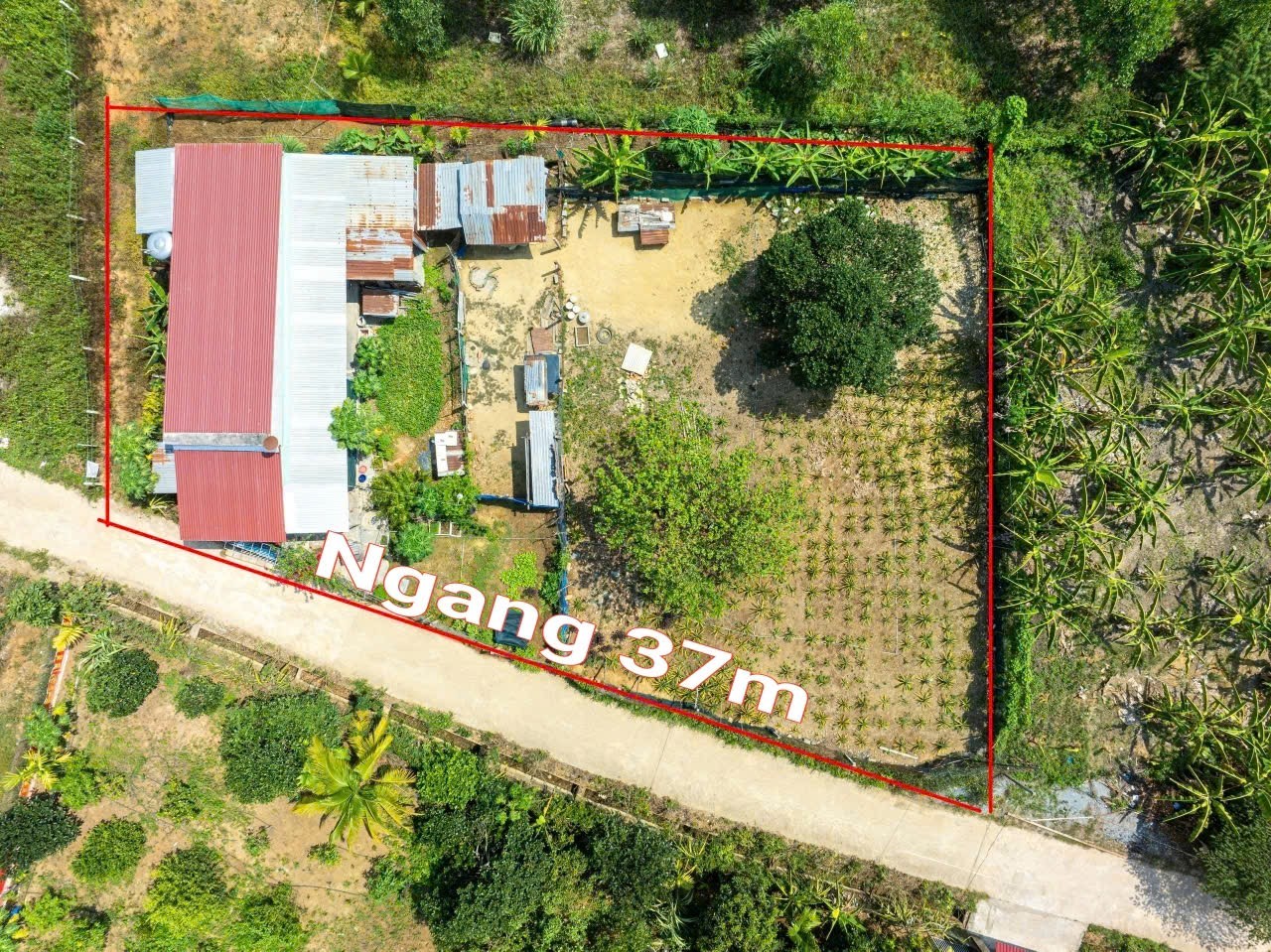 Bán đất vườn Diên Thọ QH full thổ cư gần Tỉnh Lộ 2 - ngang 37m tặng nhà cấp 4