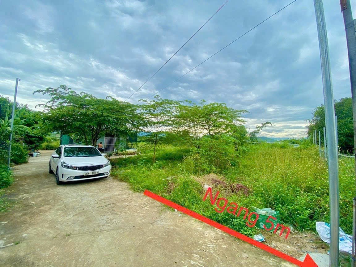 Bán đất Diên Hoà thôn Bình Khánh ngay trung tâm khu dân cư