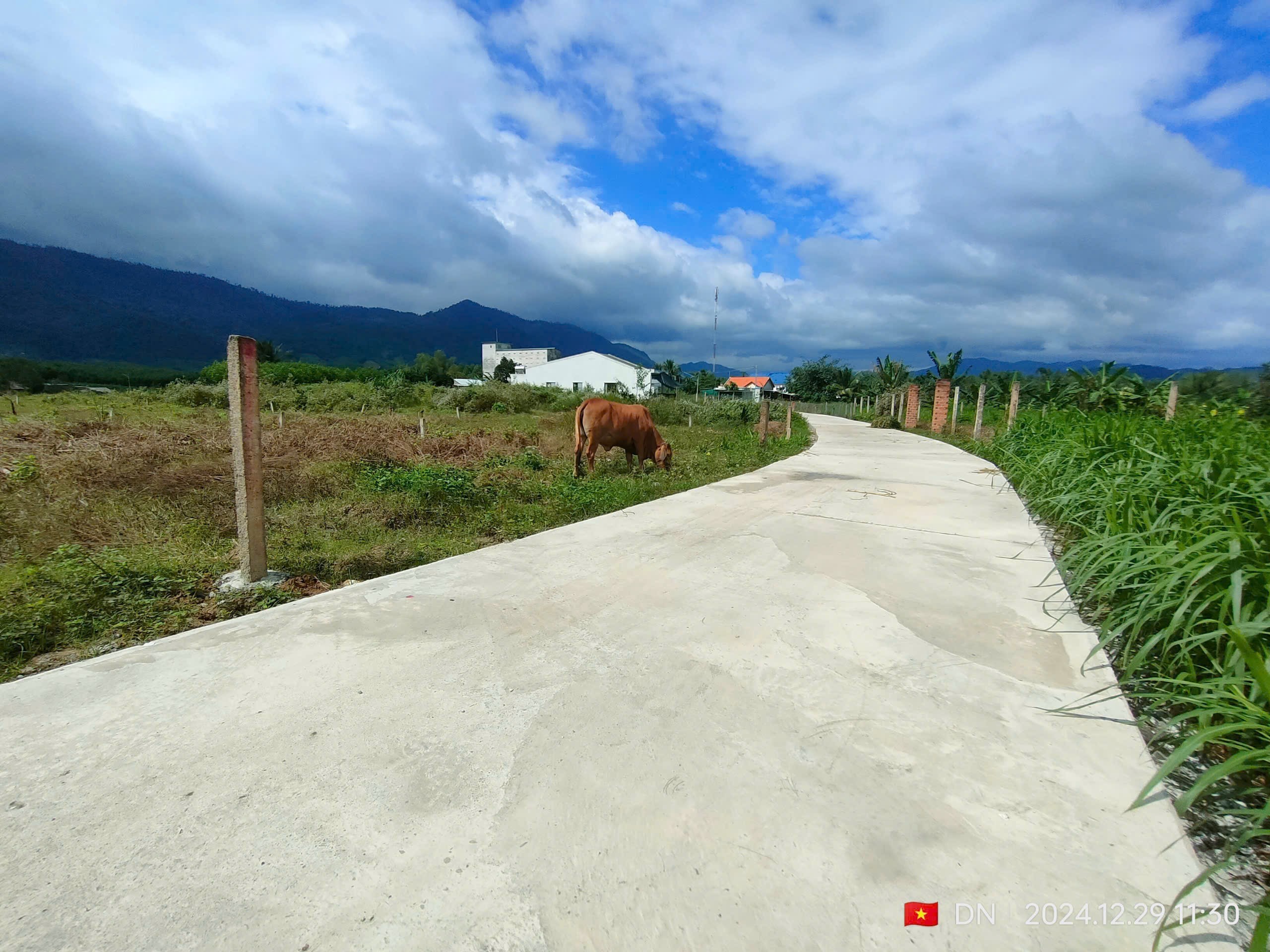 Bán đất Khánh Hiệp giá rẻ mặt đường bê tông oto tới nơi - sẵn thổ cư xây nhà hoặc đầu tư 5