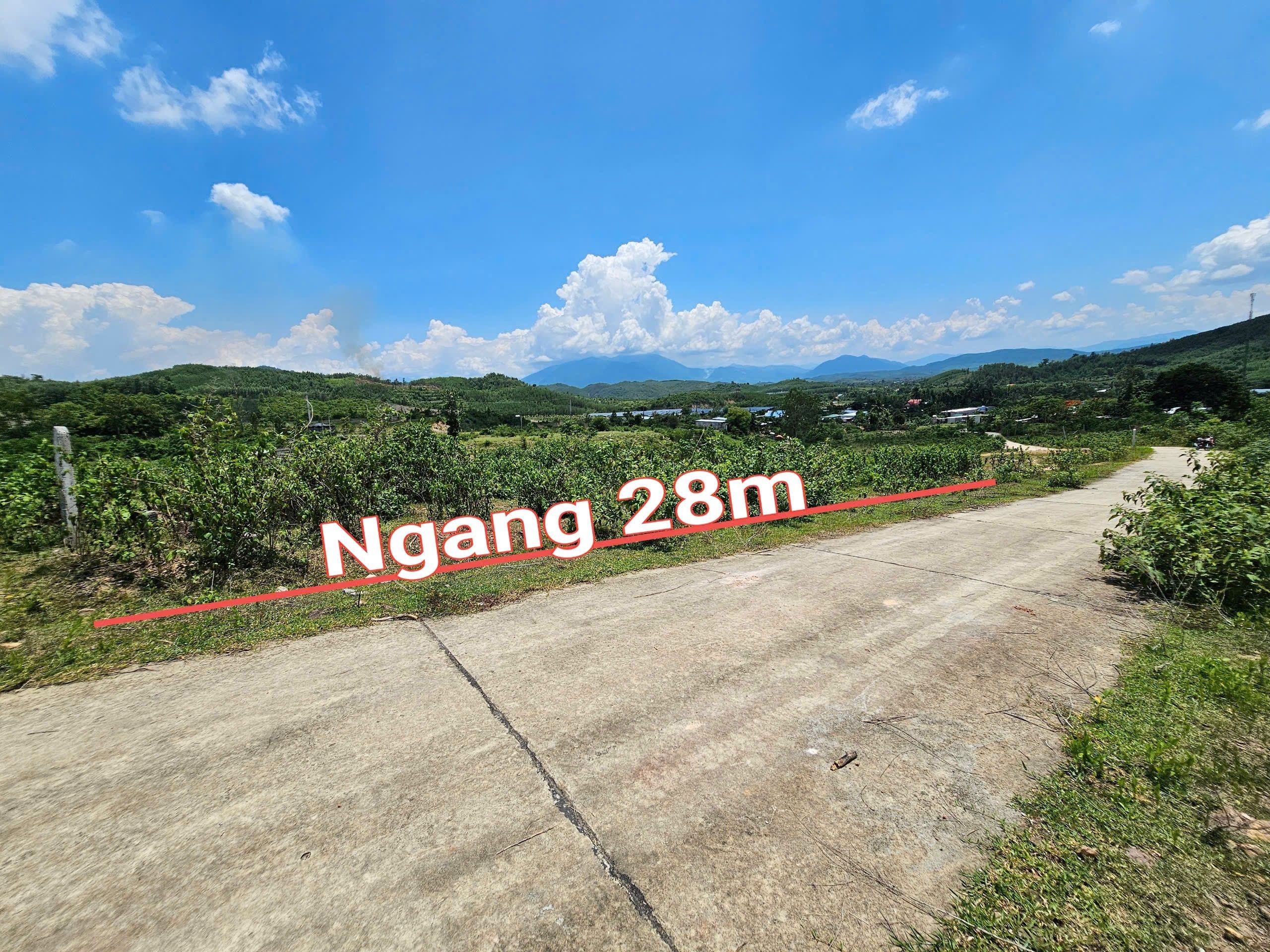 Cần bán Đất đường 8, Xã Khánh Phú, Diện tích 1840m², Giá 790 Triệu 3