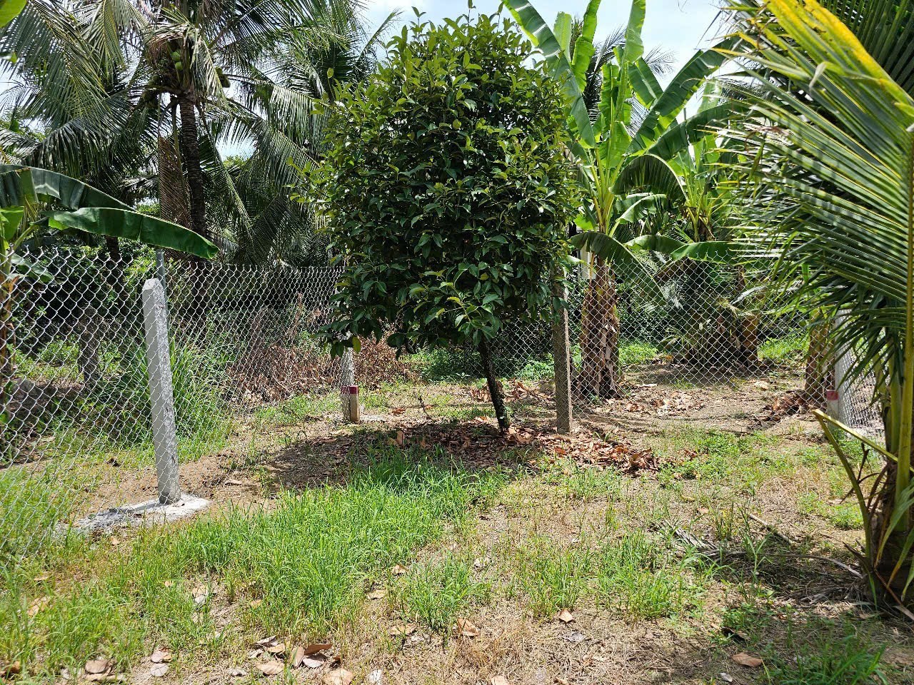Bán đất Diên Thọ giá rẻ thôn Phước Lương ngay trung tâm xã 8