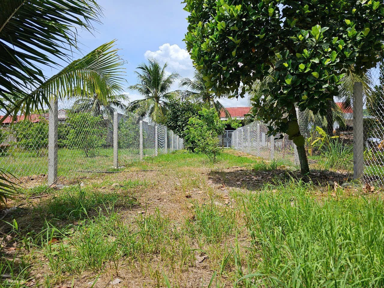 Bán đất Diên Thọ giá rẻ thôn Phước Lương ngay trung tâm xã 9