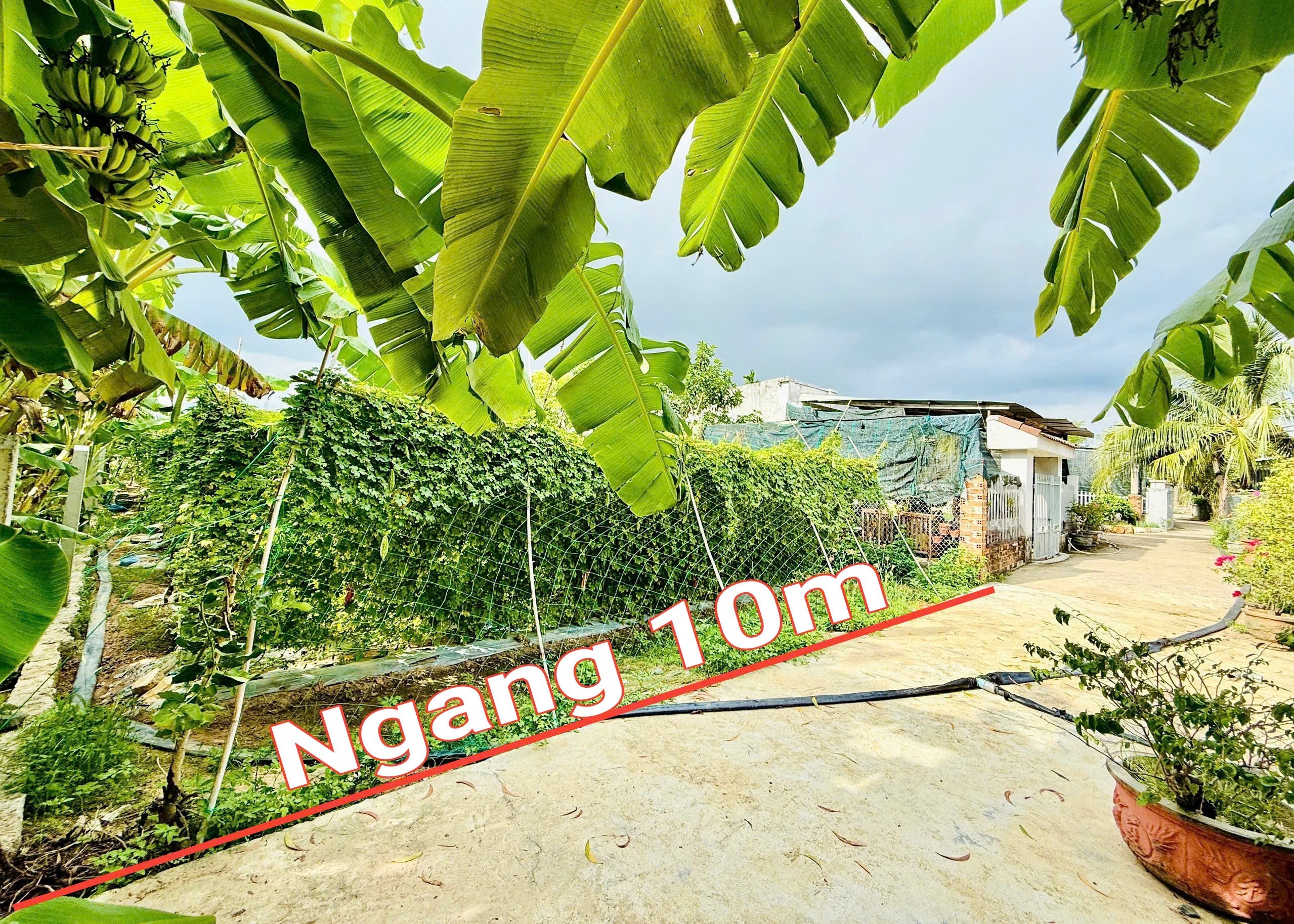 Bán đất Bình Lộc full thổ cư ngay trung tâm dân cư thôn Đảnh Thạnh