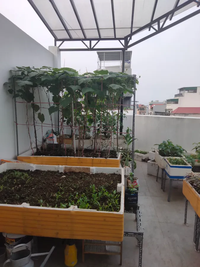 Bán gấp nhà riêng 79m2, 14,1 tỷ tại Vũ Trọng Phụng, Thanh Xuân, Hà Nội 5