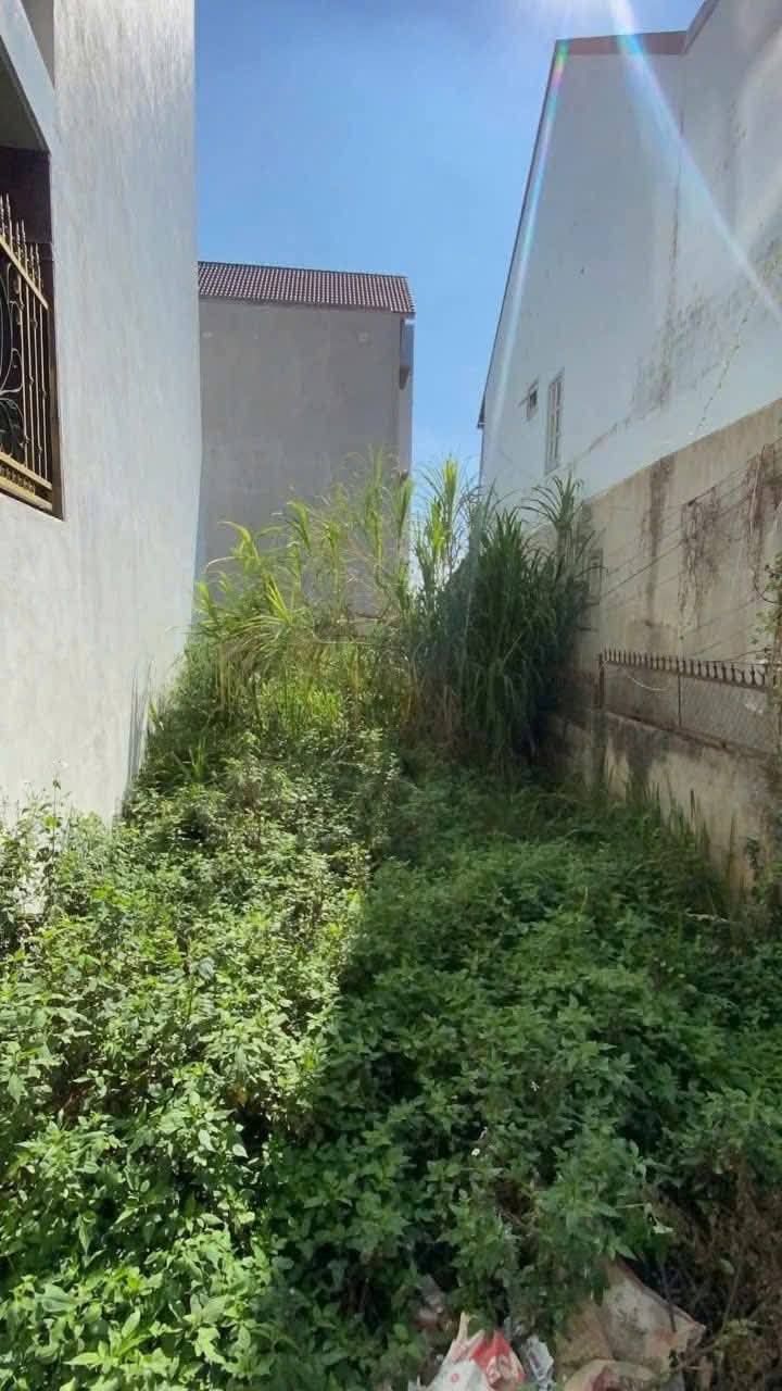 Cần tiền Bán gấp Lô Đất XD gần trung tâm đường Phù Đổng Thiên Vương, Đà Lạt giá 8.7 tỷ -> 7.2 tỷ