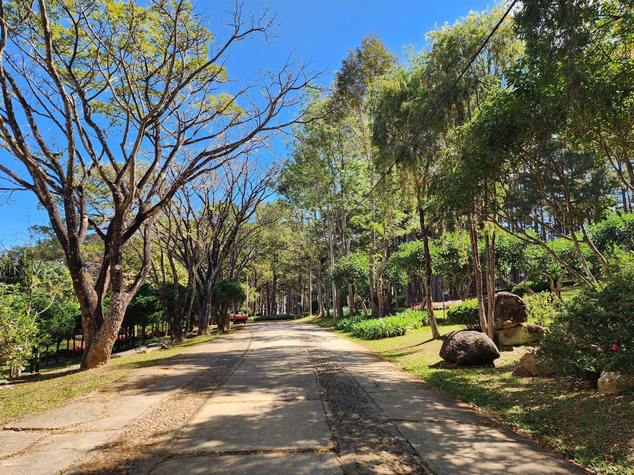 GIẢM GIÁ BÁN KHU CAMPING VIEW ĐẸP NGAY KHU DU LỊCH THUNG LŨNG VÀNG – ĐÀ LẠT GIÁ CHỈ 3.45 TỶ 5