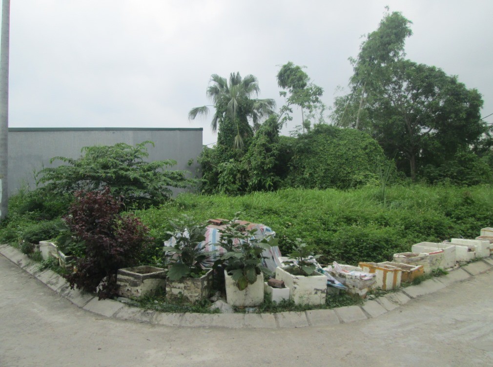 Hơn 4 tỷ Lô Góc đất đấu giá Siêu Quần, Tả Thanh Oai ô tô tránh cạnh Vành đai 3.5. 0989626116 3