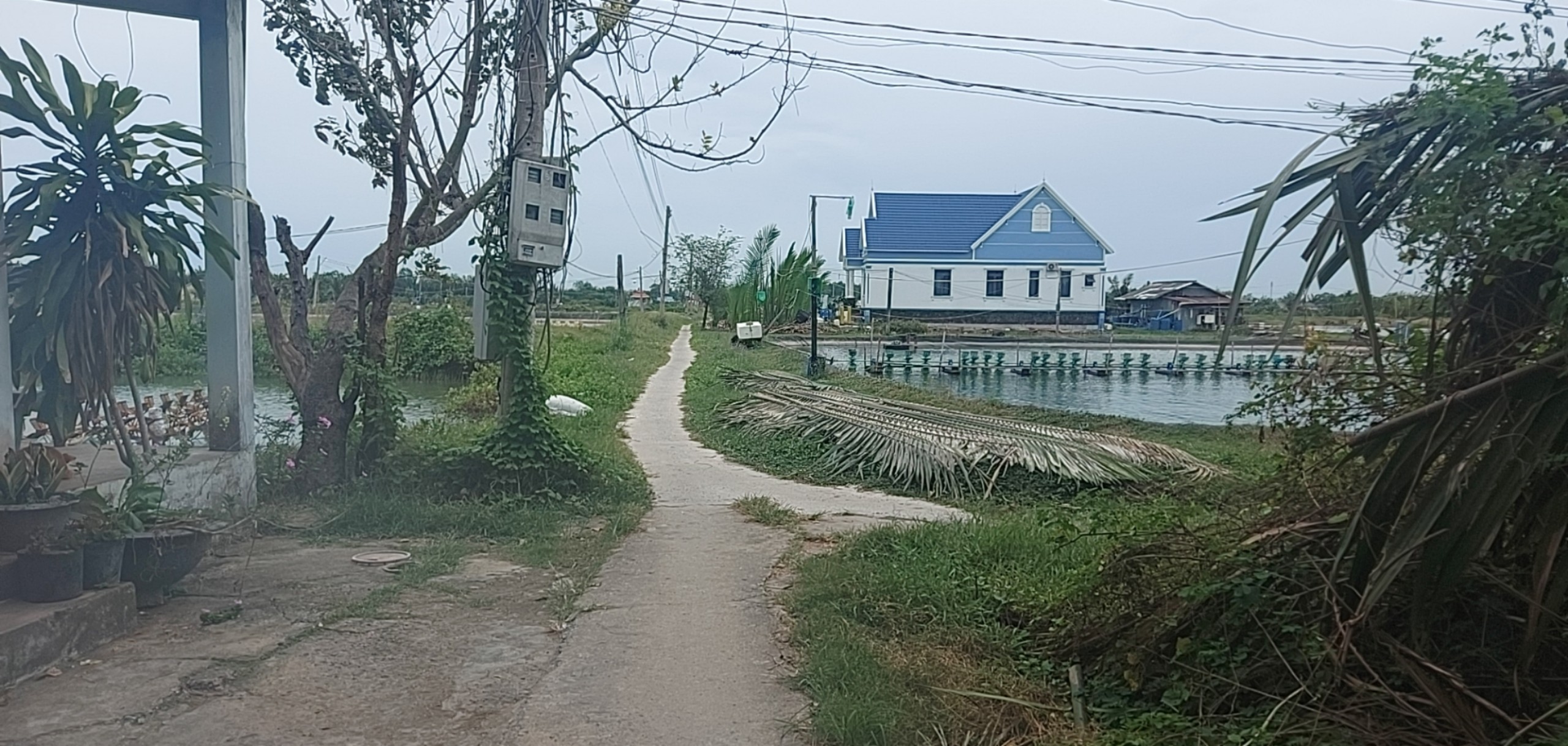 Đất thổ 609m2 View sông Vàm Cỏ xã Tân Chánh giá rẻ đầu tư 700tr
