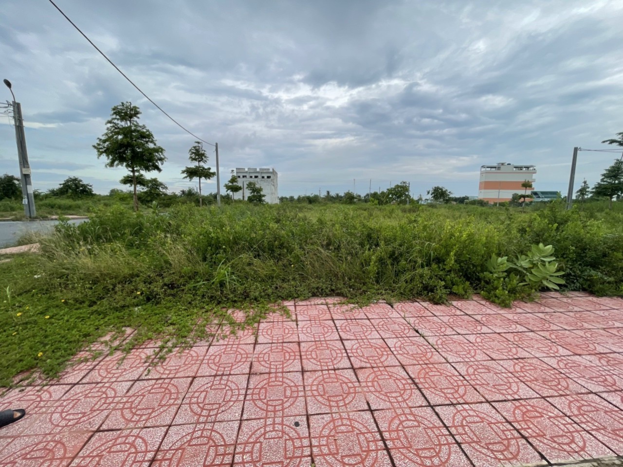 Trục chính kdc Tân Lân Residence 60m2 mt đường 10m giá ngộp 900tr 3
