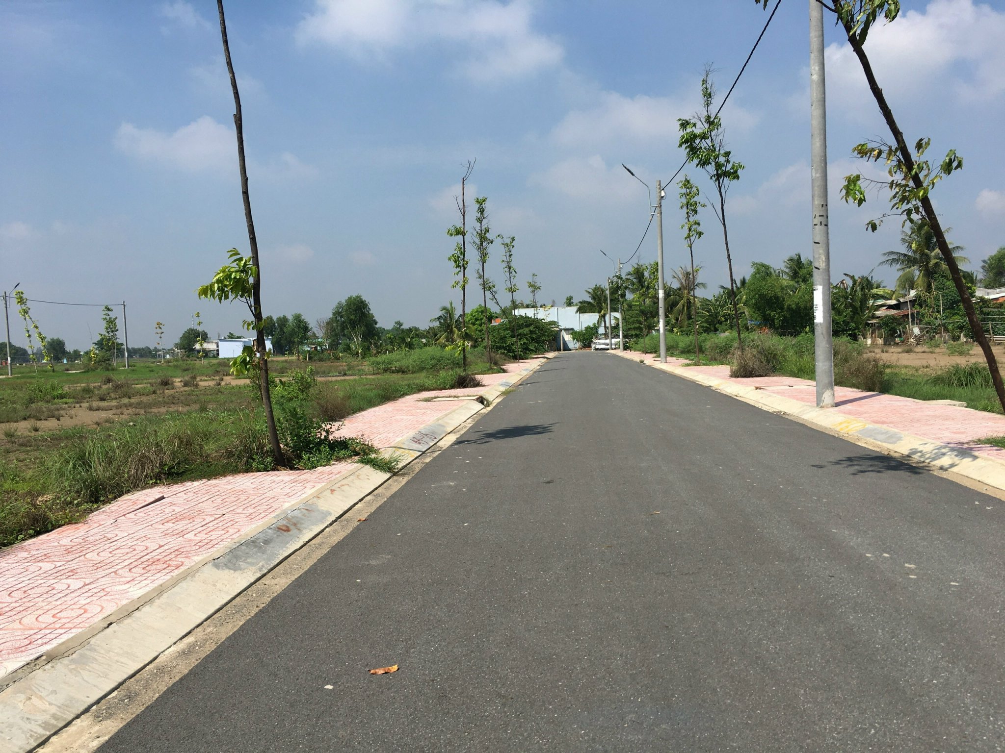 Đất nền dự án kdc Tân Mỹ xã Mỹ Lệ 118m2 Cần bán gấp giá rẻ đầu tư 2